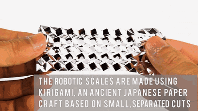 哈佛机器人BG大游团队研发出的“蛇皮”机器人机器人